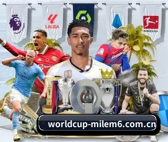 worldcup-milem6.com.cn APP